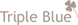 Website Triple Blue