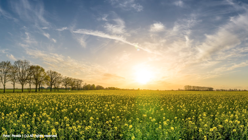 Warmste dag ooit gemeten in februari, volgens meteoroloog en spreker Reinier van den Berg