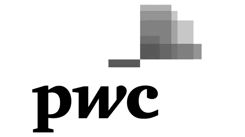 Dagvoorzitter voor PWC - 