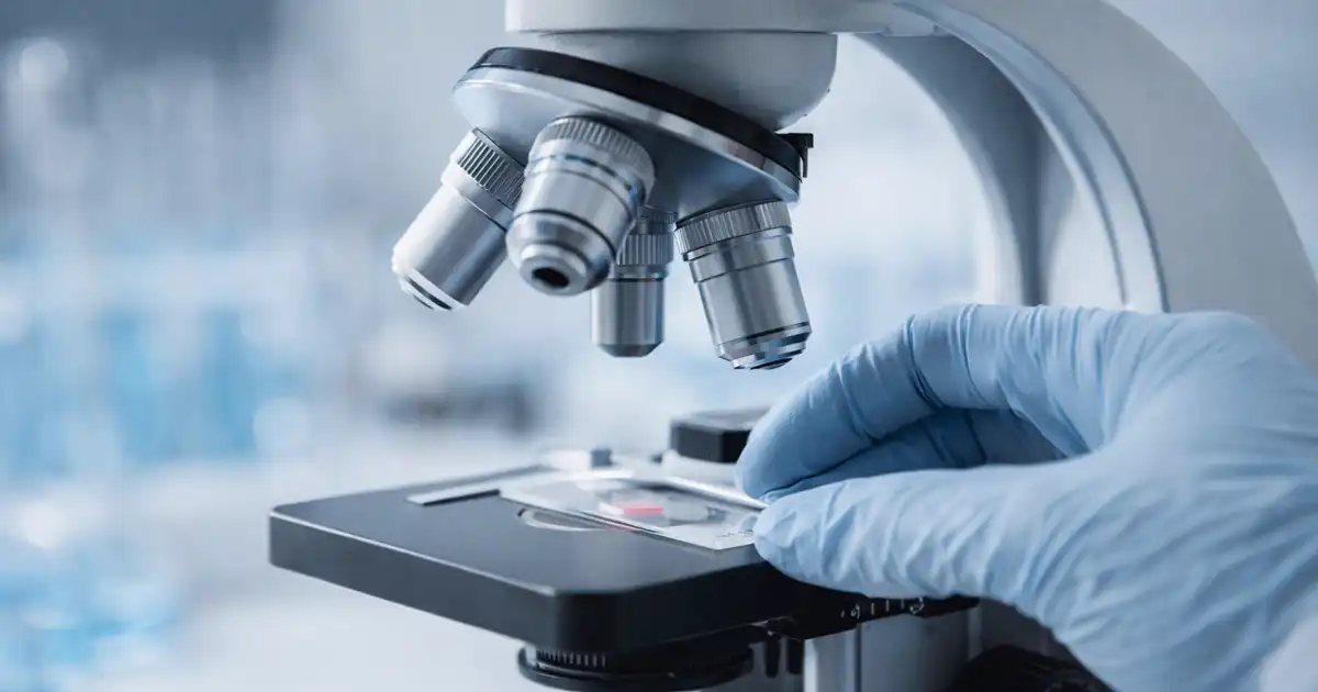 Wetenschap en Onderzoek